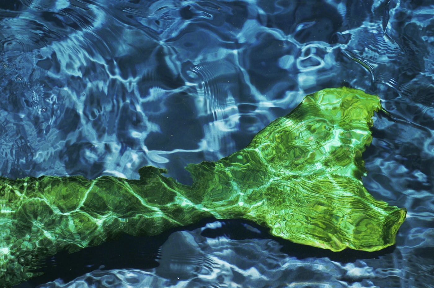 Mermaid tail costume detail, underwater